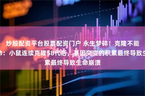 炒股配资平台股票配资门户 永生梦碎！克隆不能无限续命：小鼠连续克隆58代后，基因突变的积累最终导致生命崩溃