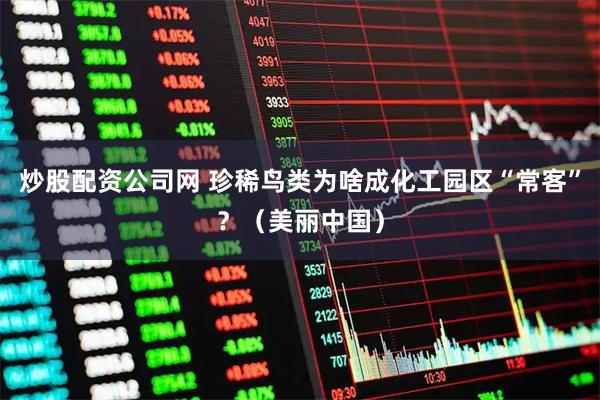 炒股配资公司网 珍稀鸟类为啥成化工园区“常客”？（美丽中国）