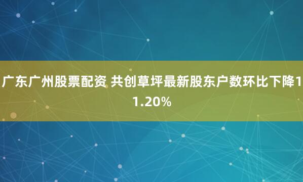 广东广州股票配资 共创草坪最新股东户数环比下降11.20%